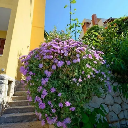 Dulijana *